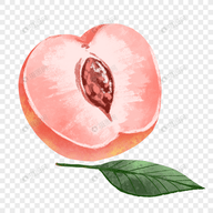 WWW,se862·COM网站APPAPP应用